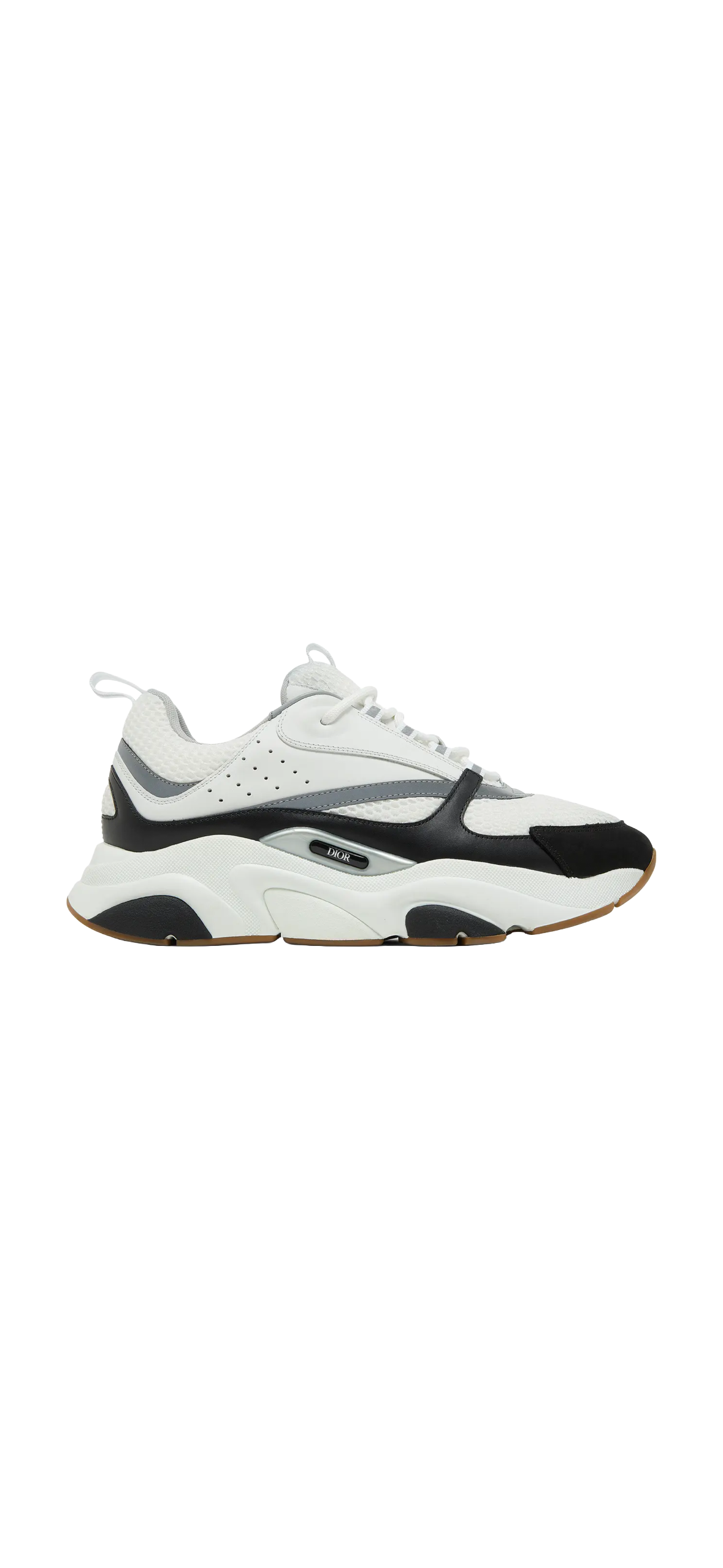 Dior B22
